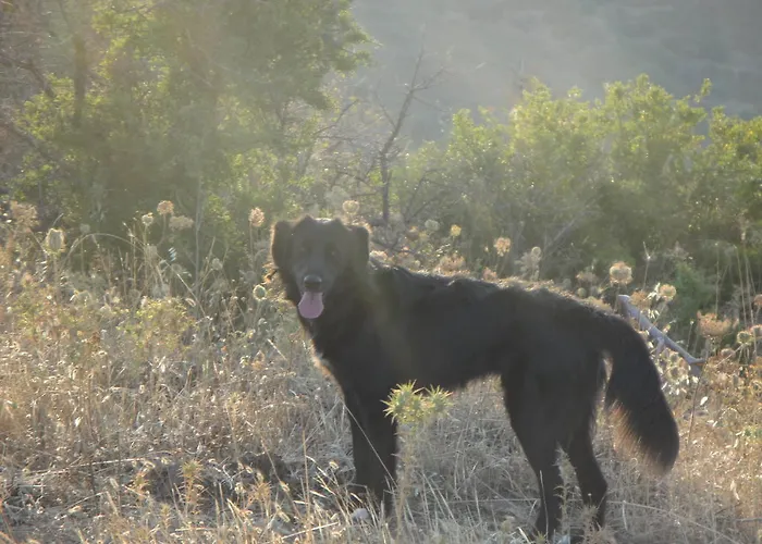 게스트하우스 La Jatta