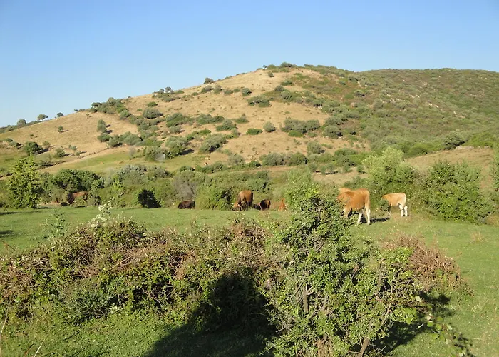 게스트하우스 La Jatta 4*